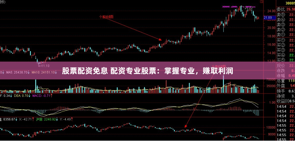 股票配资免息 配资专业股票：掌握专业，赚取利润